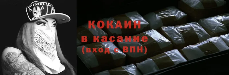 Cocaine FishScale  купить закладку  Енисейск 